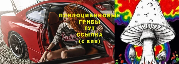 крисы Алзамай