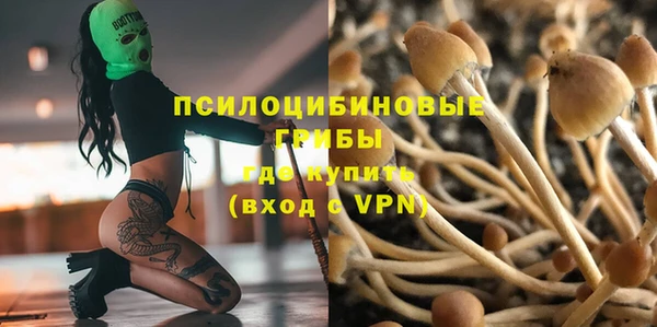 mix Алексин