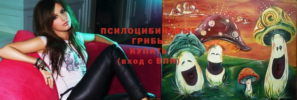 крисы Алзамай